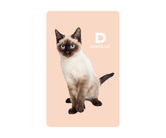 ゲームカード【ダーツライブ】#047 シャム猫